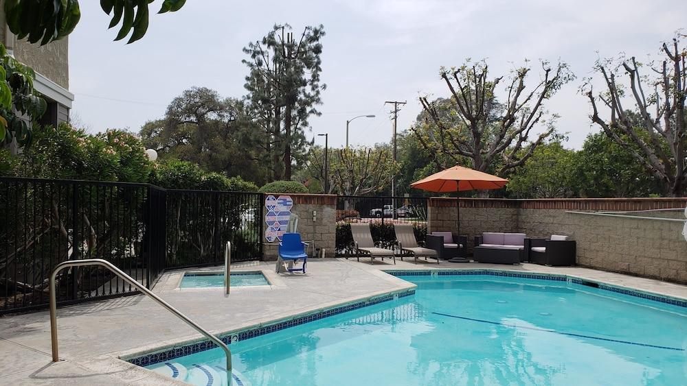 Oak Tree Monrovia
