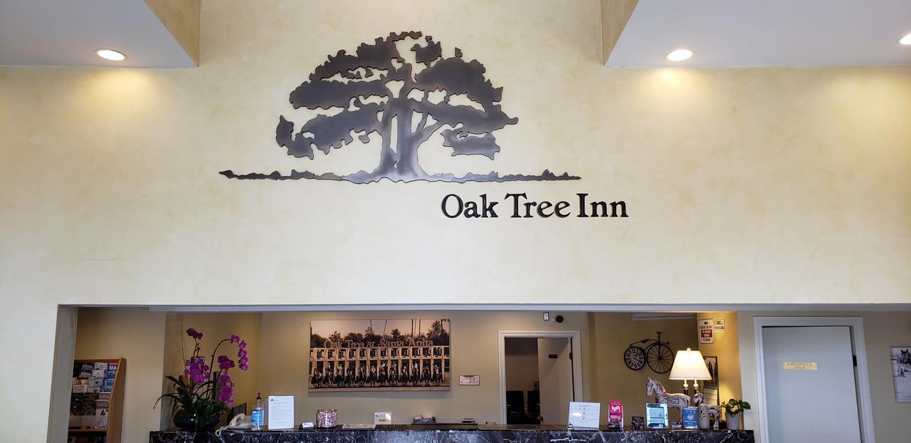 Oak Tree Monrovia